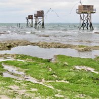 IMG_7149